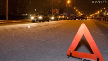 На трасі біля Новограда-Волинського загинув водій мікроавтобуса
