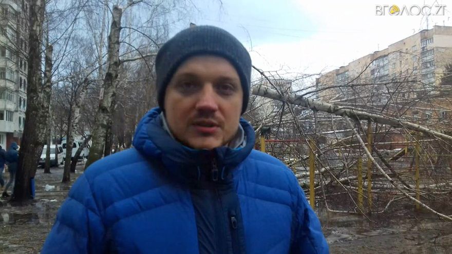 oleksandr-voevutsky-berezy28012016