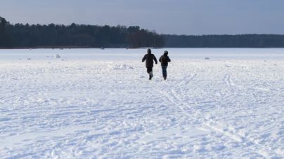 Сніг і мороз – 14 градусів прогнозують синоптики житомирянам