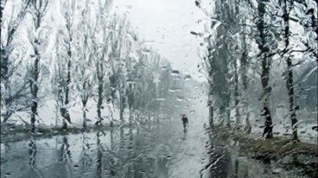 Дощ на Житомирщині надовго