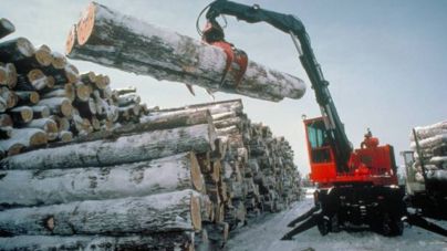 Виробництво у деревообробній та харчовій промисловостях області падає, – статистика