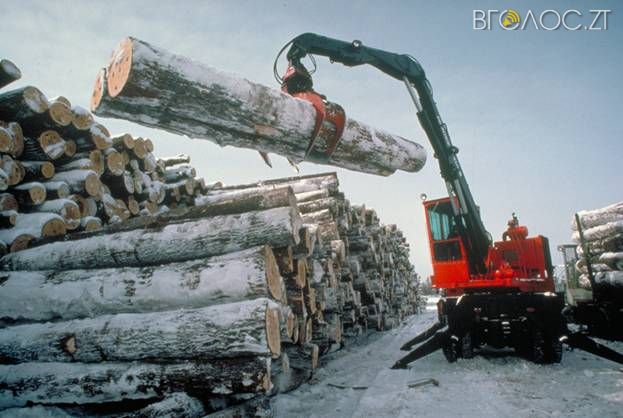 Виробництво у деревообробній та харчовій промисловостях області падає, – статистика