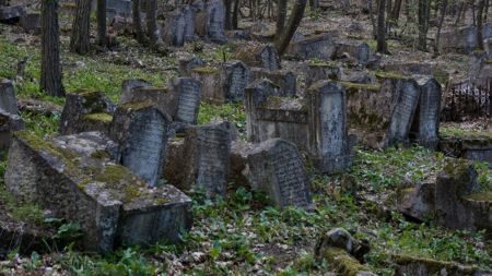 Стало відомо, скільки людей торік поховали на житомирських кладовищах