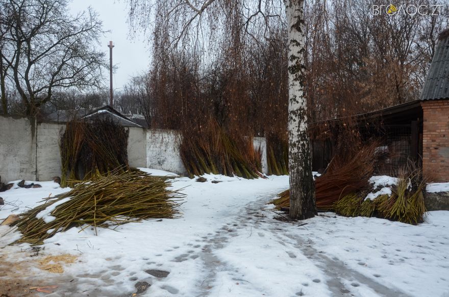 лозоплетыння-22