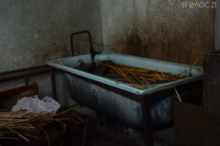 лозоплетыння-38