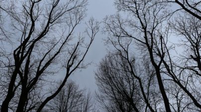У Житомирі знову очікується дощ зі снігом