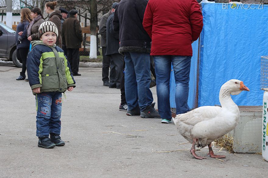 20160312-emotions-03