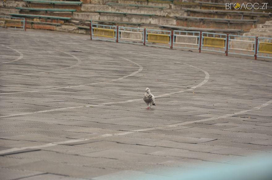 20160313-maslyana-13