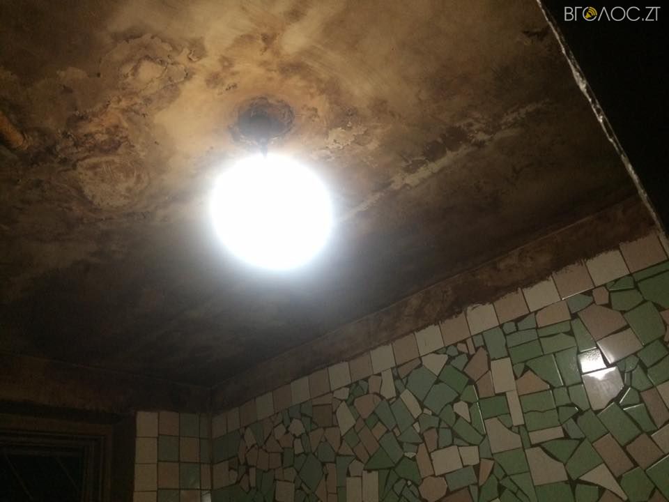 922932_1102646873131025_2839270656172444122_n