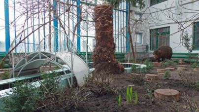 Зимовий сад ТТУ готують до сезону екскурсій (ФОТО)