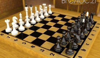 У Житомирі відбудеться турнір з класичних шахів «Меморіал М.М. Тросмана»