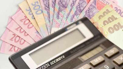 На Житомирщині «спрощенці» поповнили бюджет більше, ніж на 80 млн грн