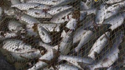 На річці Ірші затримали 12 рибалок-браконьєрів