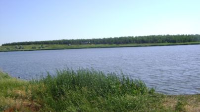 На Житомирщині державі повернули більше 17 га земель водного фонду