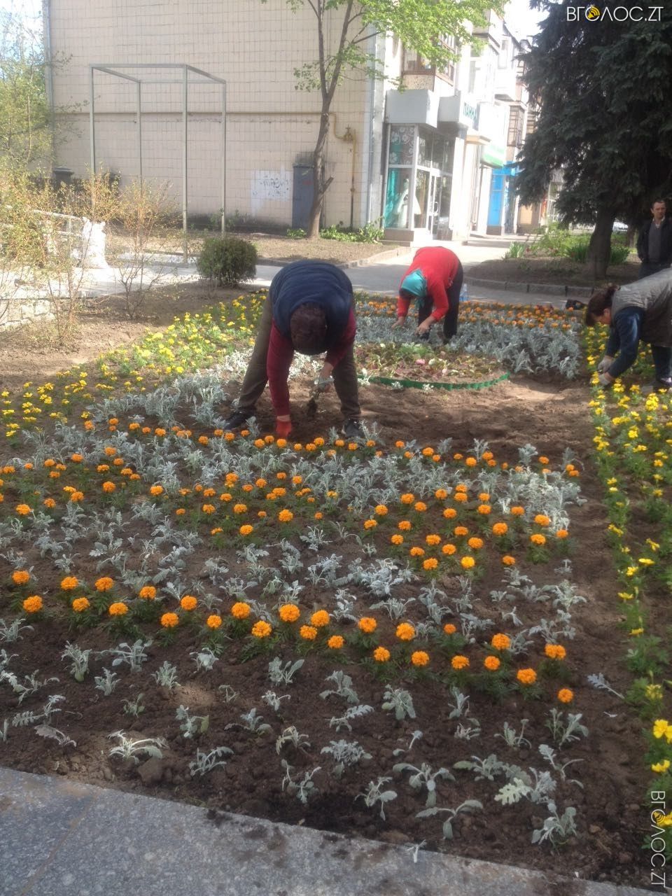 image-37fc812c5d730286474574e0ff7429b6c7569b88cce197d192f33d1e11c4ca82-V