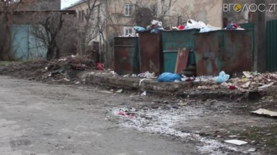 Майже на мільйон Житомир закупить різнокольорові сміттєві баки та урни