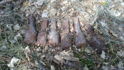 Лісник знайшов у лісі 6 ручних гранат часів минулих війн