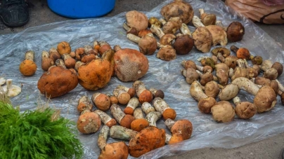 В Андрушівському районі отруїлася грибами 30-річна жінка