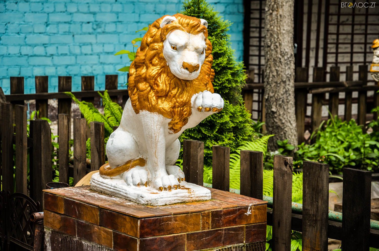 неординарний житомирський під'їзд-0302