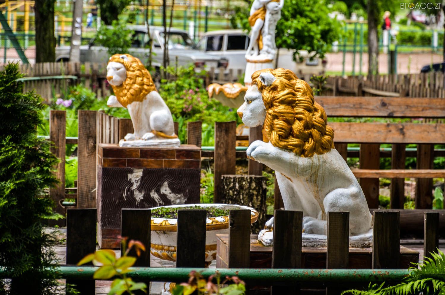 неординарний житомирський під'їзд-0316