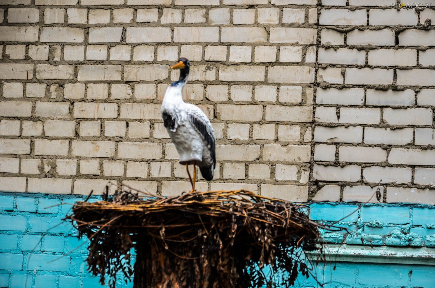 неординарний житомирський під'їзд-0322