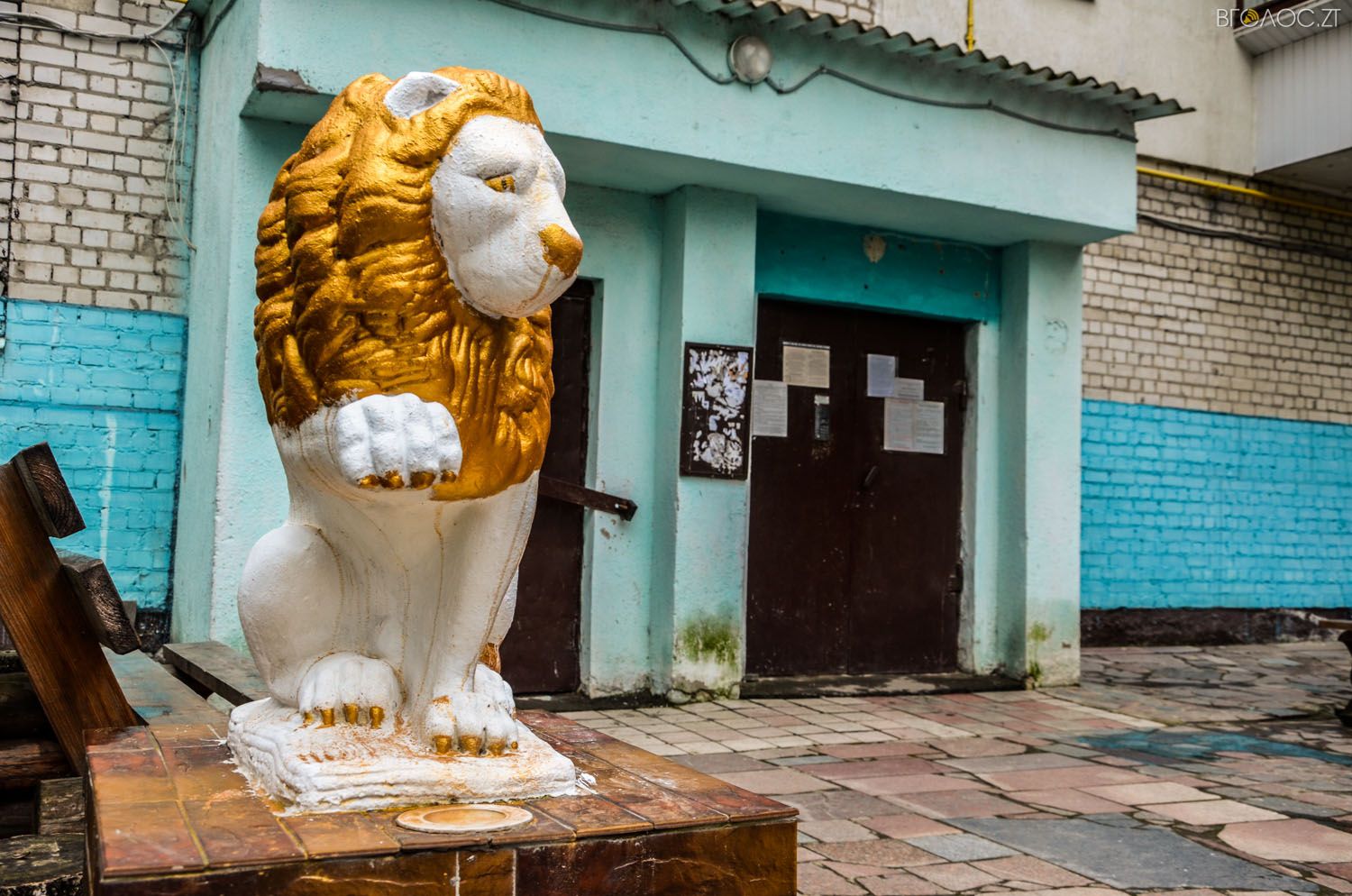 неординарний житомирський під'їзд-0324