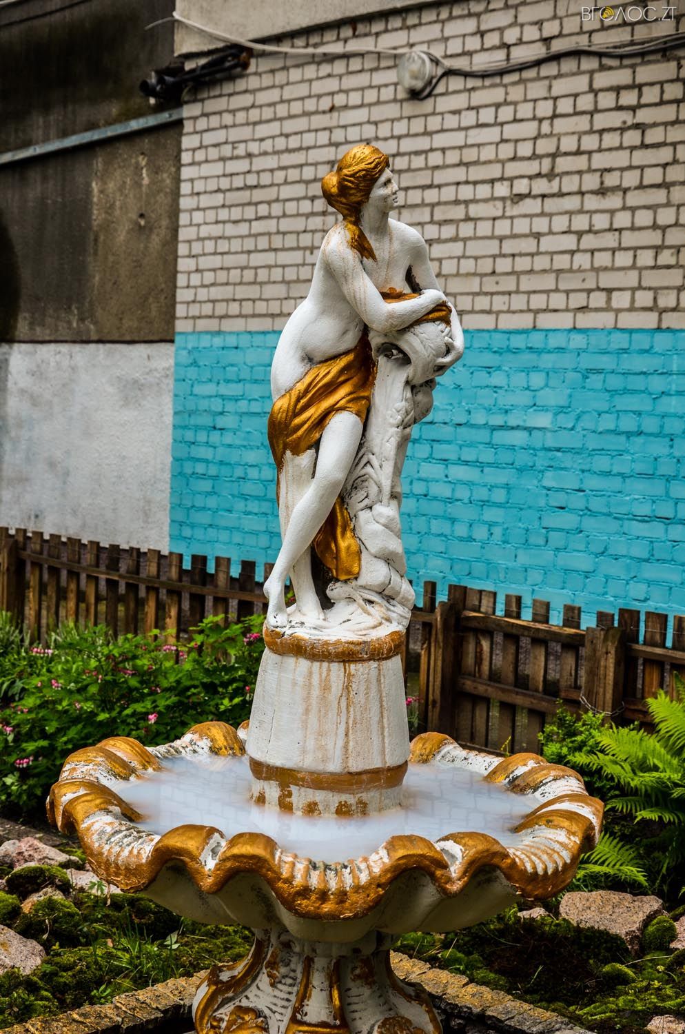 неординарний житомирський під'їзд-0328