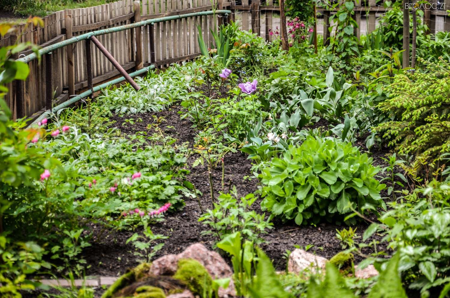 неординарний житомирський під'їзд-0342