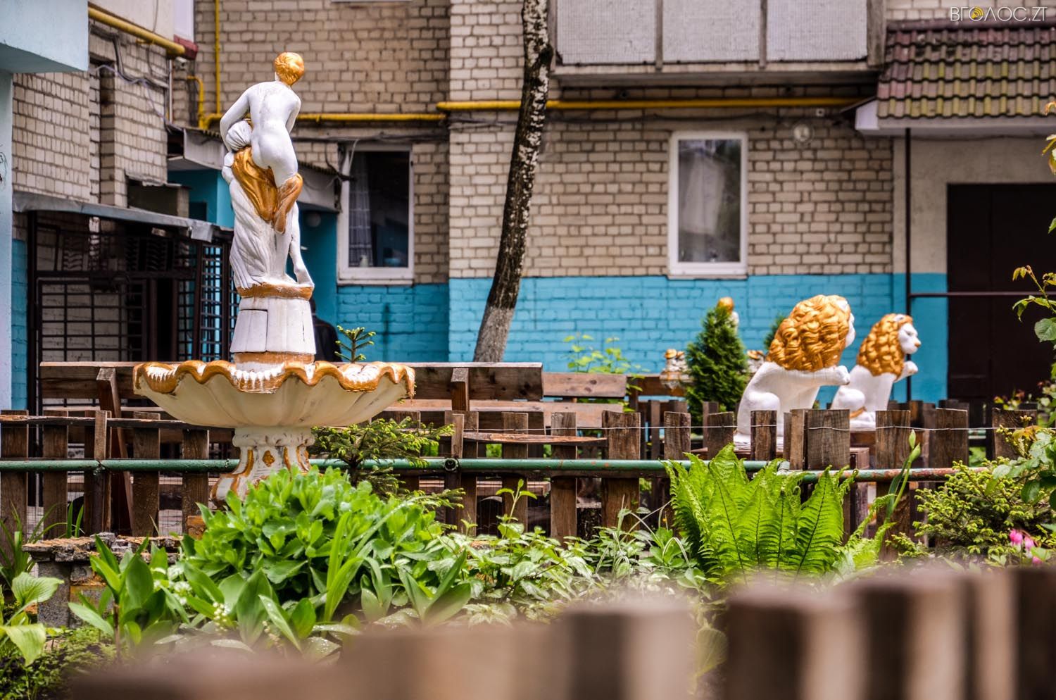 неординарний житомирський під'їзд-0361