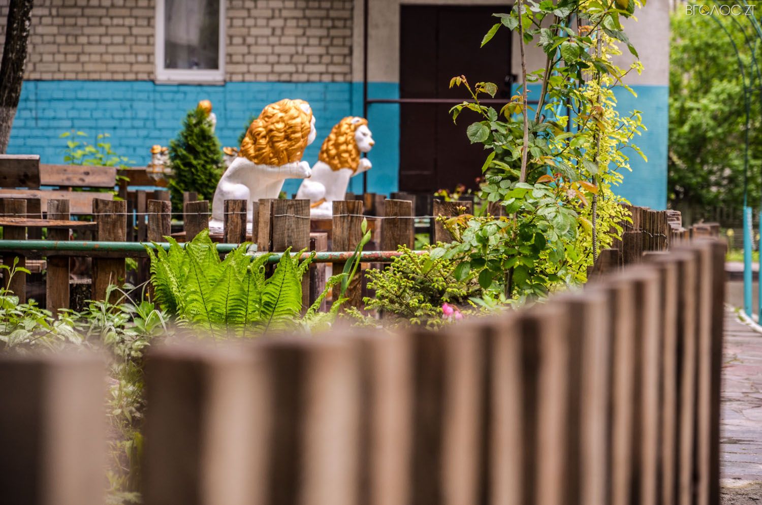 неординарний житомирський під'їзд-0362