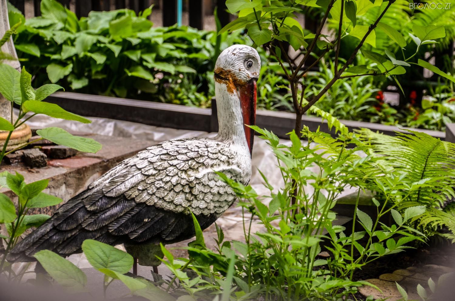 неординарний житомирський під'їзд-0365