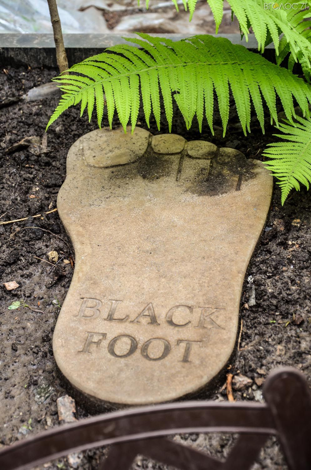 неординарний житомирський під'їзд-0370