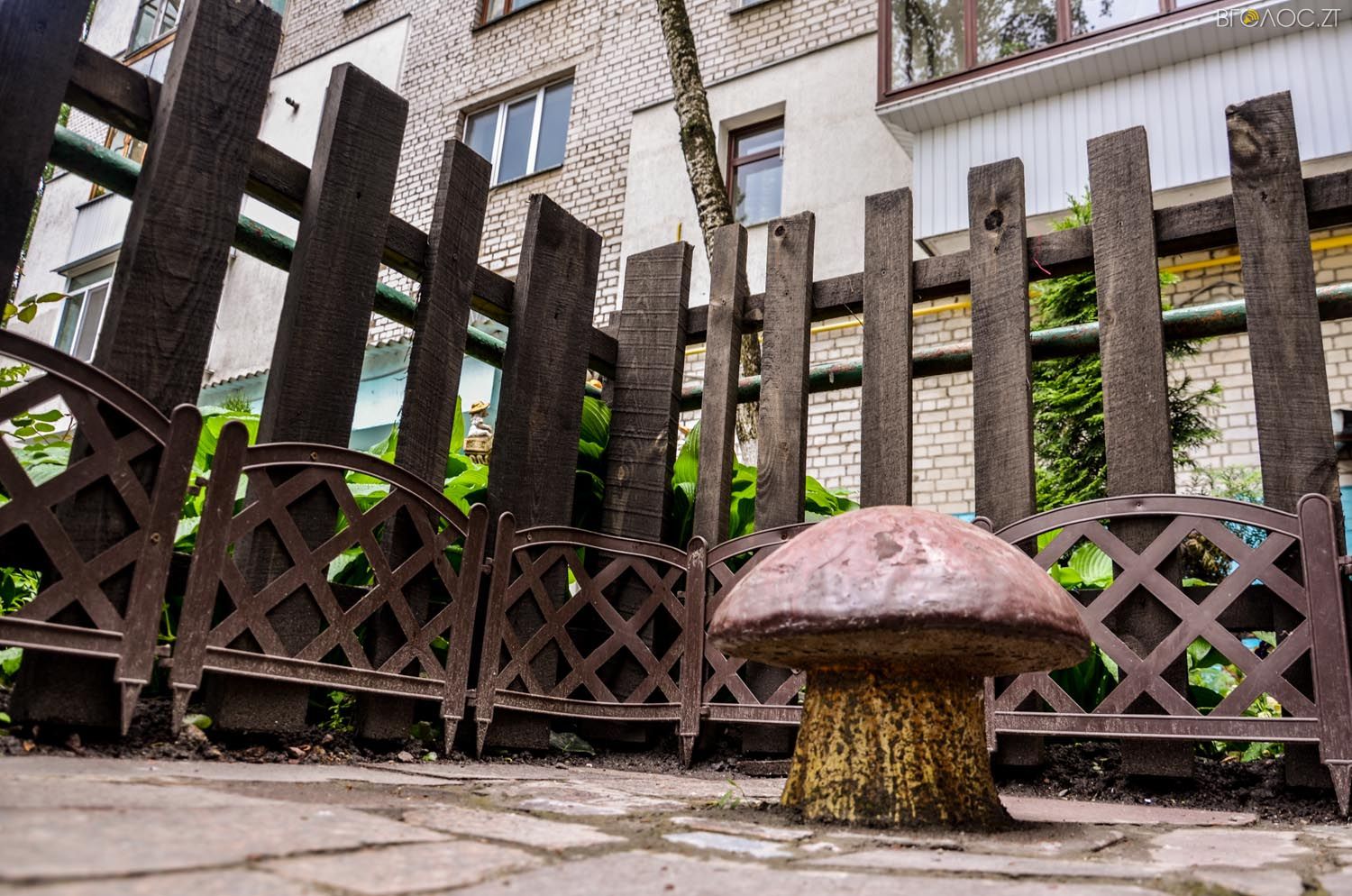 неординарний житомирський під'їзд-0378