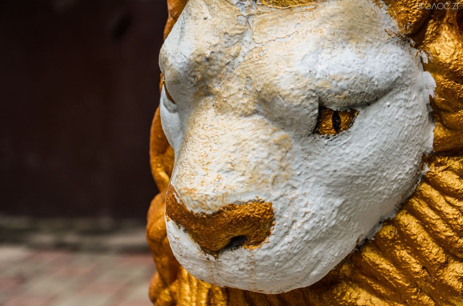 неординарний житомирський під'їзд-0379