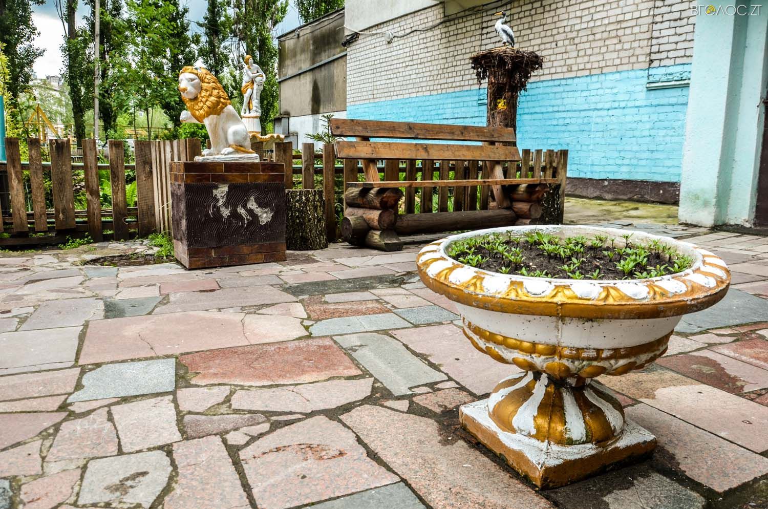 неординарний житомирський під'їзд-0384