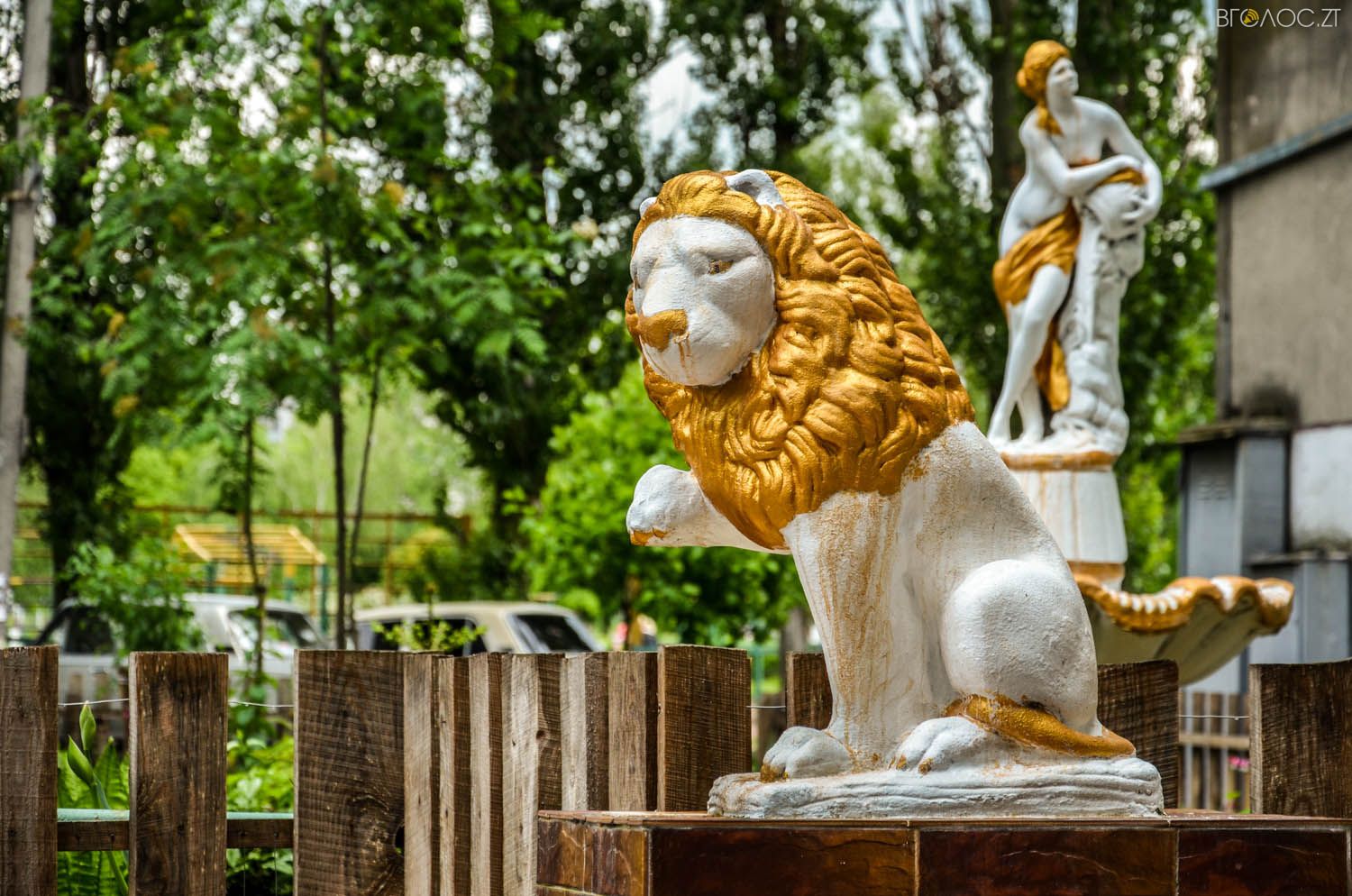 неординарний житомирський під'їзд-0386