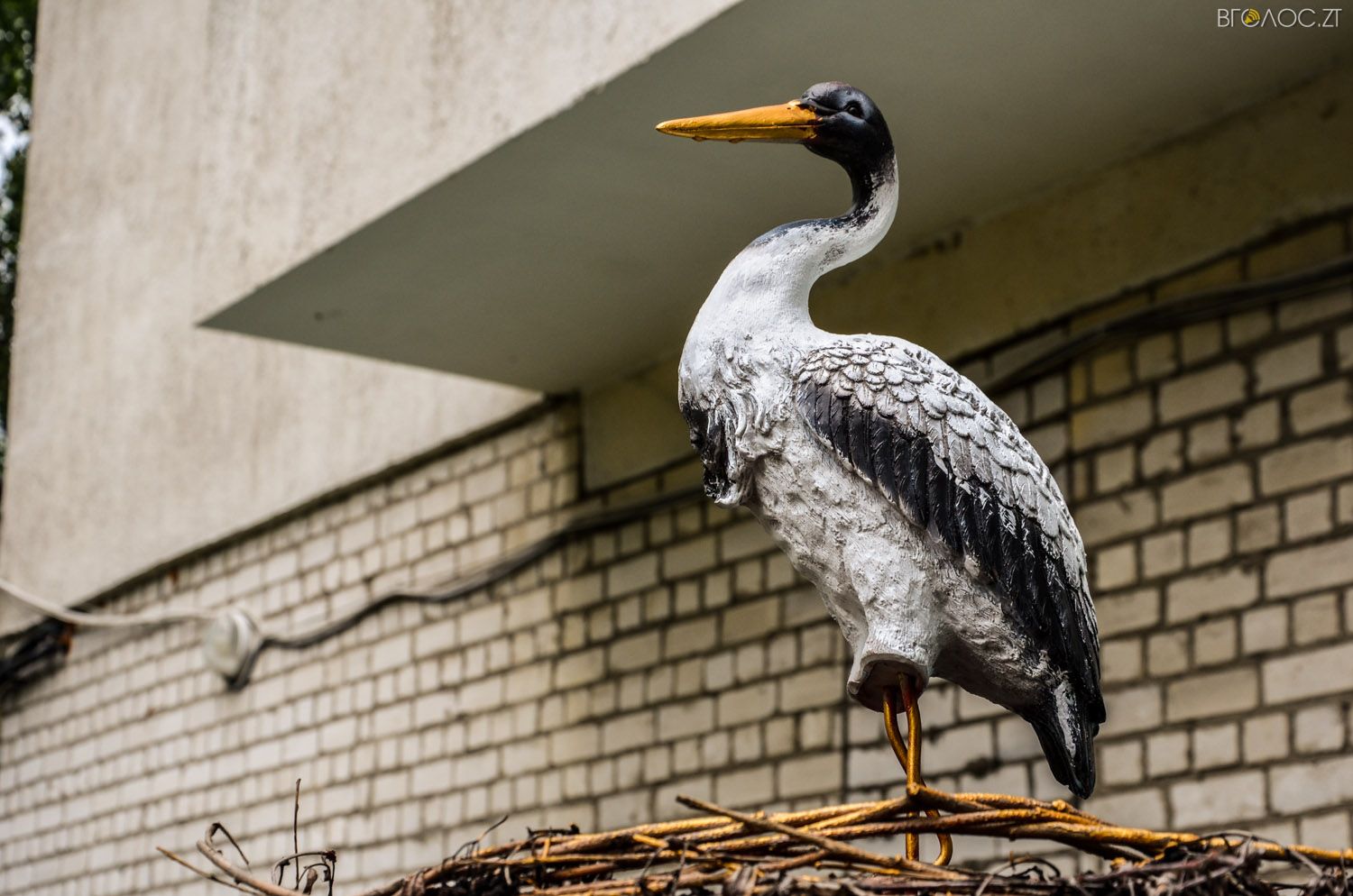неординарний житомирський під'їзд-0389