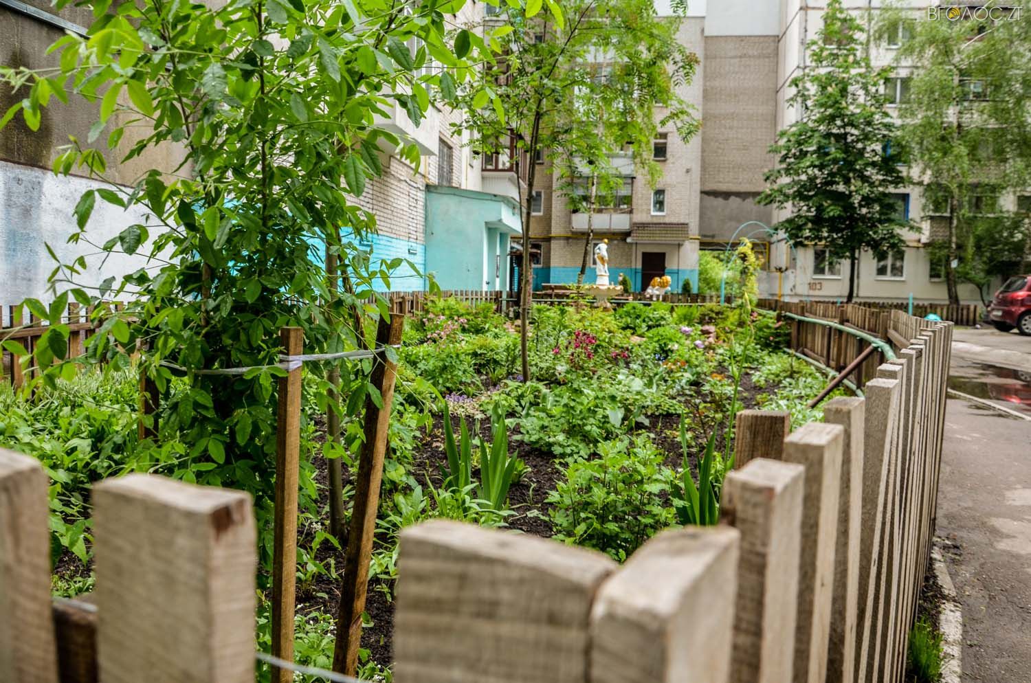 неординарний житомирський під'їзд-0411