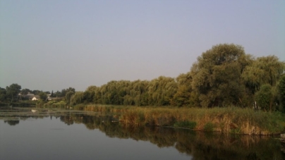 Екологи стверджують, що річки Случ та Хомора стали чистішими