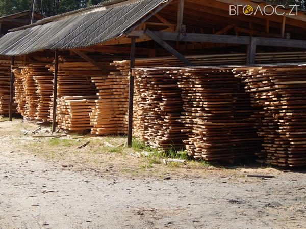 дерево азія (1)