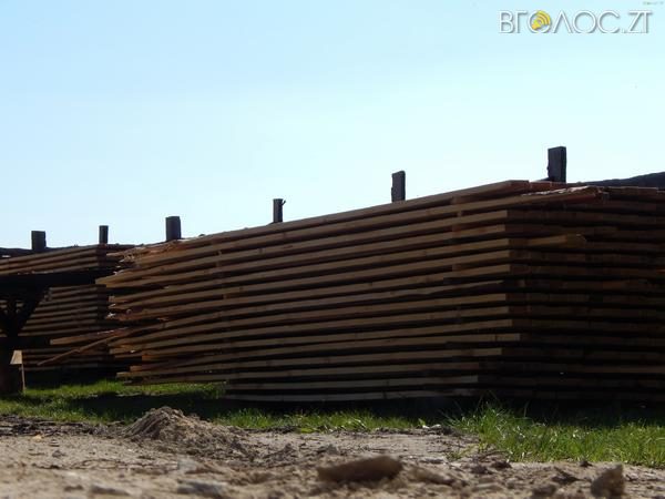 дерево азія (2)