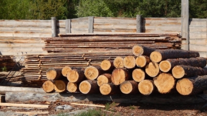 Коростенська фірма підробляла документи та вивозила деревину у країни Азії
