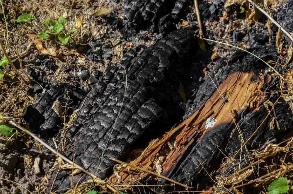 польське кладовище (26 из 62)