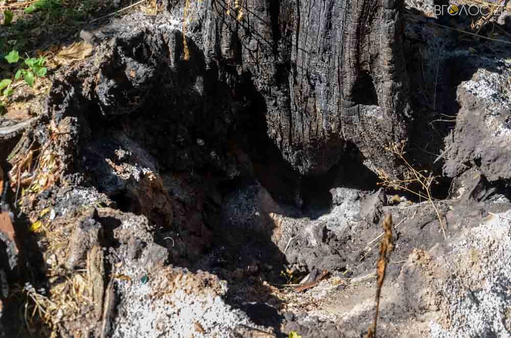 польське кладовище (28 из 62)