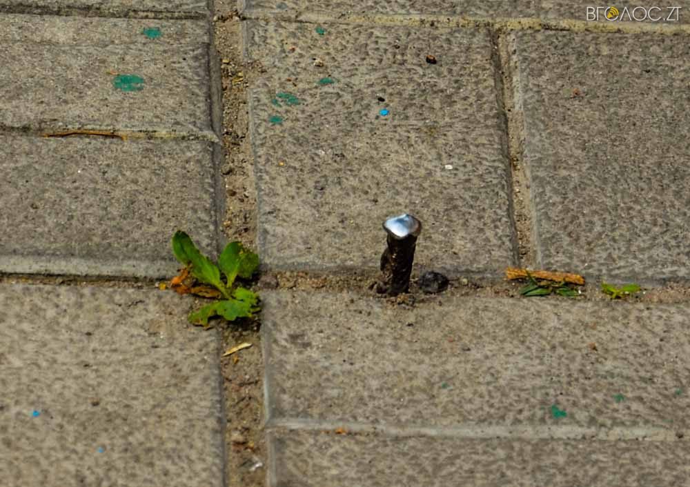 рослини (11 из 20)