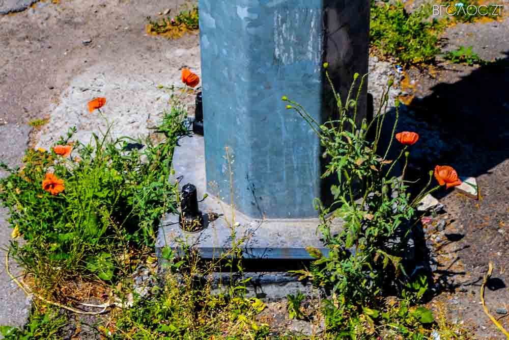 рослини (16 из 20)