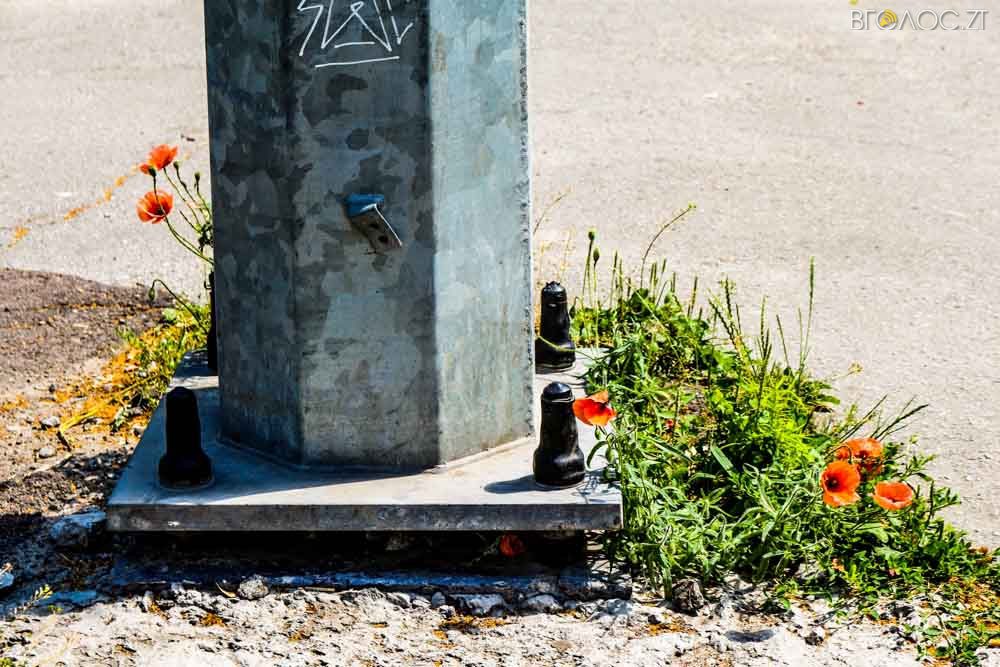 рослини (18 из 20)