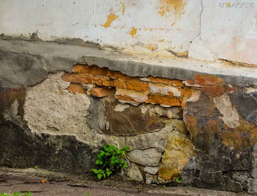 рослини (5 из 20)