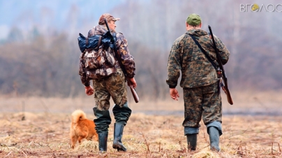 У Новоград-Волинському районі прийняли рішення відстрілювати червоних лисиць