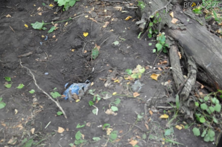 ????????????????????????????????????